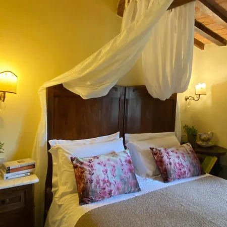 Domus Etrusca Casa rural *